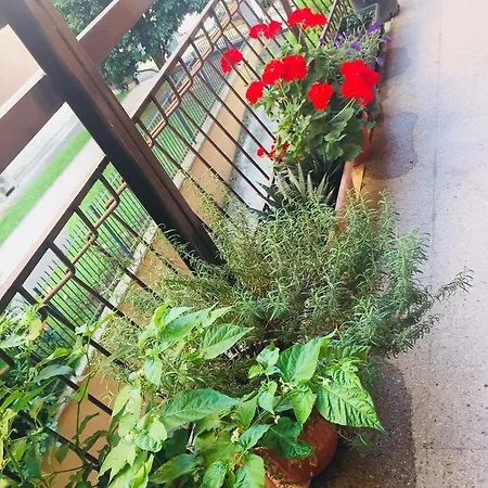 Apartamento Grace Verona